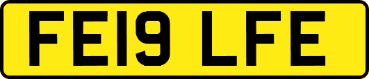 FE19LFE