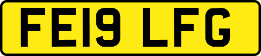 FE19LFG