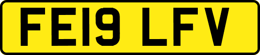 FE19LFV