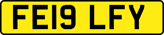 FE19LFY