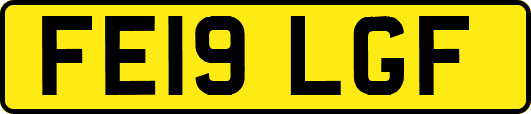 FE19LGF