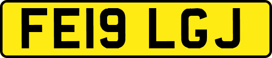 FE19LGJ