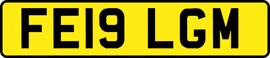 FE19LGM