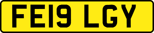 FE19LGY