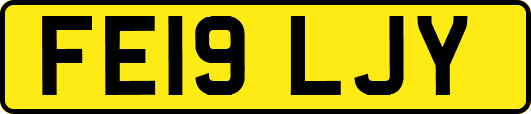 FE19LJY