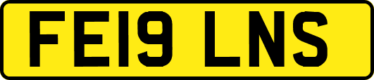 FE19LNS
