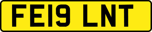 FE19LNT