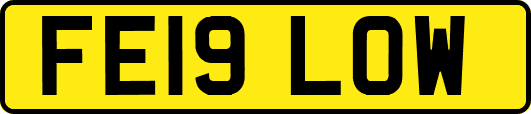 FE19LOW