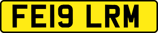 FE19LRM
