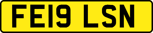 FE19LSN