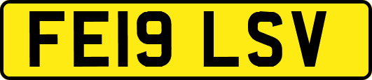 FE19LSV