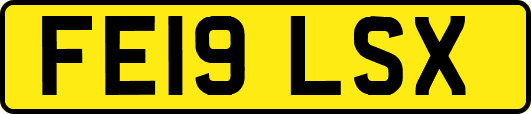 FE19LSX
