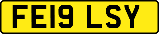 FE19LSY