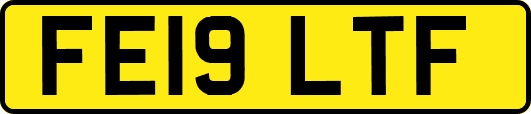 FE19LTF