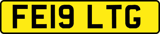 FE19LTG