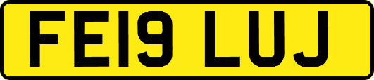 FE19LUJ