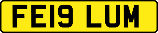 FE19LUM