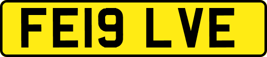 FE19LVE