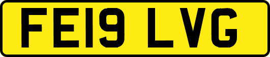 FE19LVG