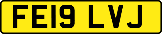 FE19LVJ