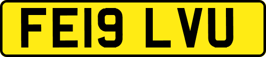 FE19LVU