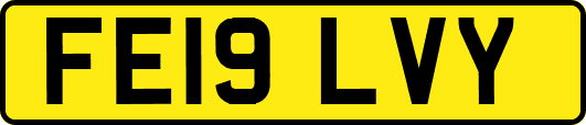 FE19LVY