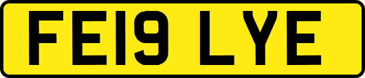 FE19LYE
