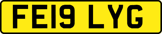 FE19LYG