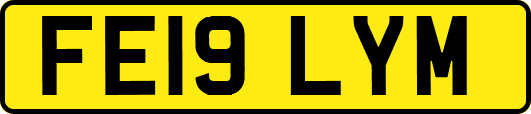 FE19LYM