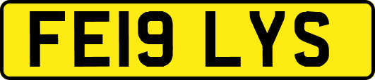 FE19LYS