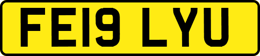 FE19LYU