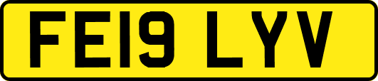 FE19LYV