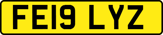 FE19LYZ