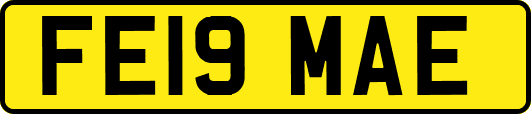FE19MAE
