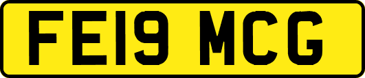 FE19MCG