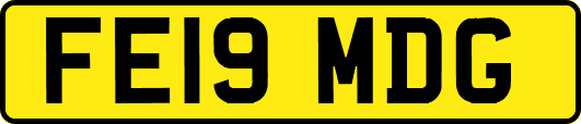 FE19MDG