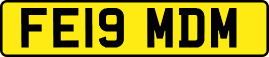 FE19MDM