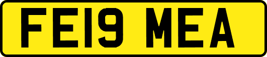 FE19MEA