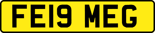 FE19MEG