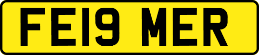 FE19MER