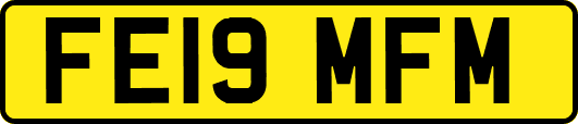 FE19MFM