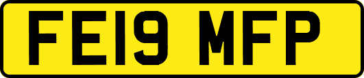FE19MFP