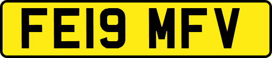 FE19MFV