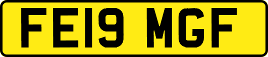 FE19MGF
