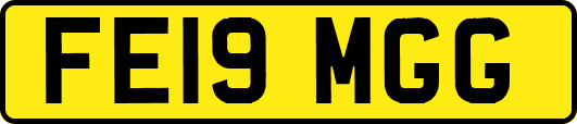FE19MGG