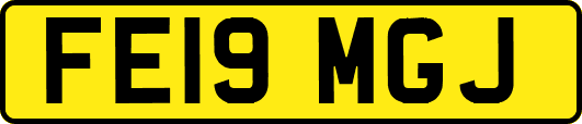 FE19MGJ