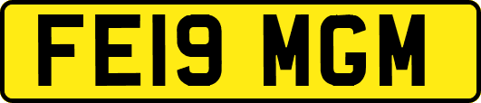 FE19MGM