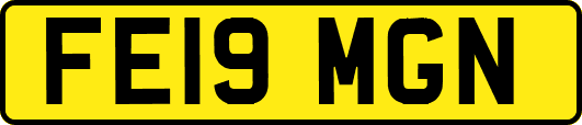 FE19MGN