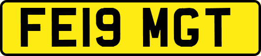 FE19MGT