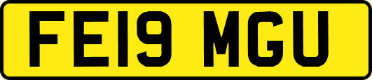 FE19MGU